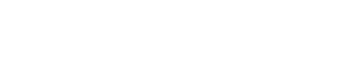 CULTURE PARTNERS